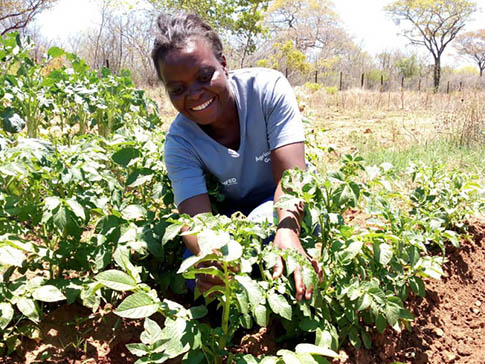 Senior farmer Beauty