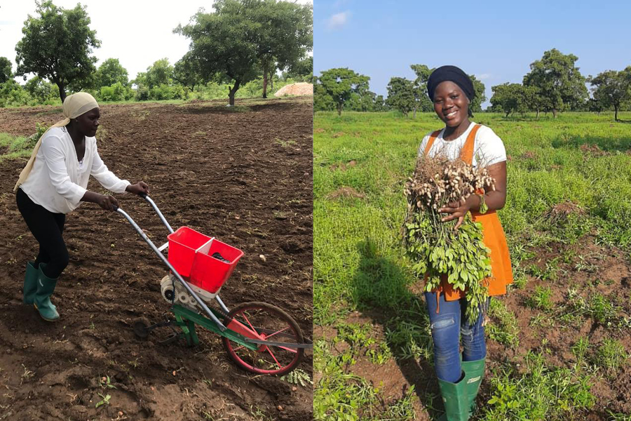 Left: A Ghanaian woman plows a field using a hand-pushed plow. Right: Mabruka, a Ghanaian woman holds a bunch of fresh groundnuts she has collected.