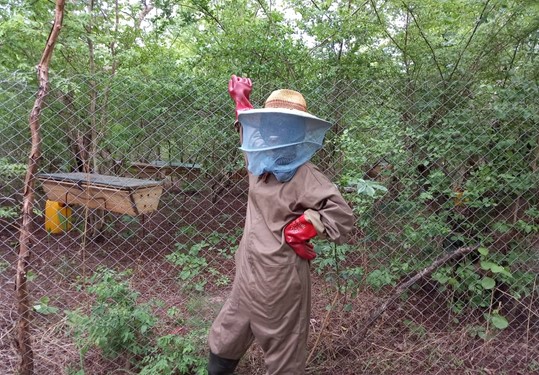 Caroline Domonaa-ngmen Dari-796885-CAMA-Beekeeper-with-Beehives-GH-May-2022