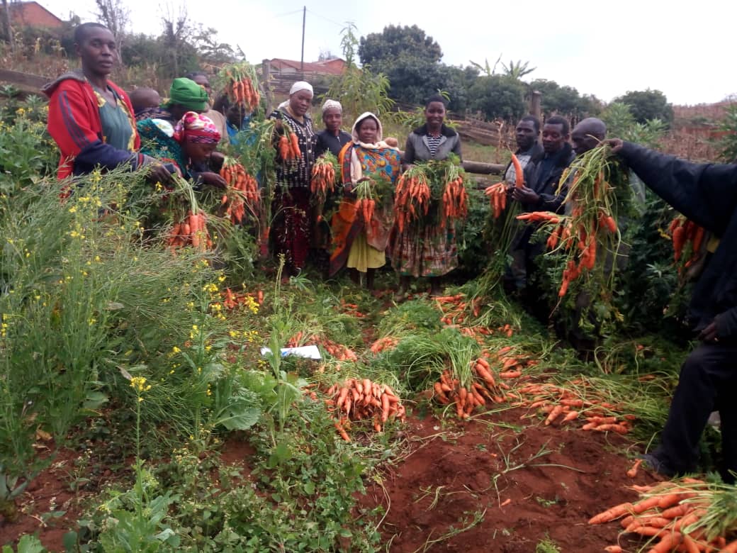 Zeolia, CAMFED Association member and Business Guide pictured with Parent Support Group outside gardening carrots in Tanzania