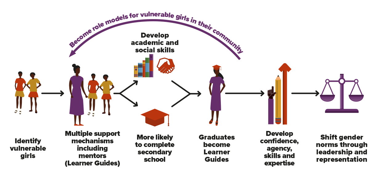 The Learner Guide peer mentorship model explained - research graphic