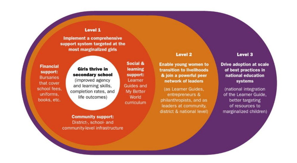 CAMFED's 3-level model focuses on holistic support for marginalized girls in school, transition support for graduates to become independent and influential, and integration of best practices (including youth-led mentorship) into national education systems.