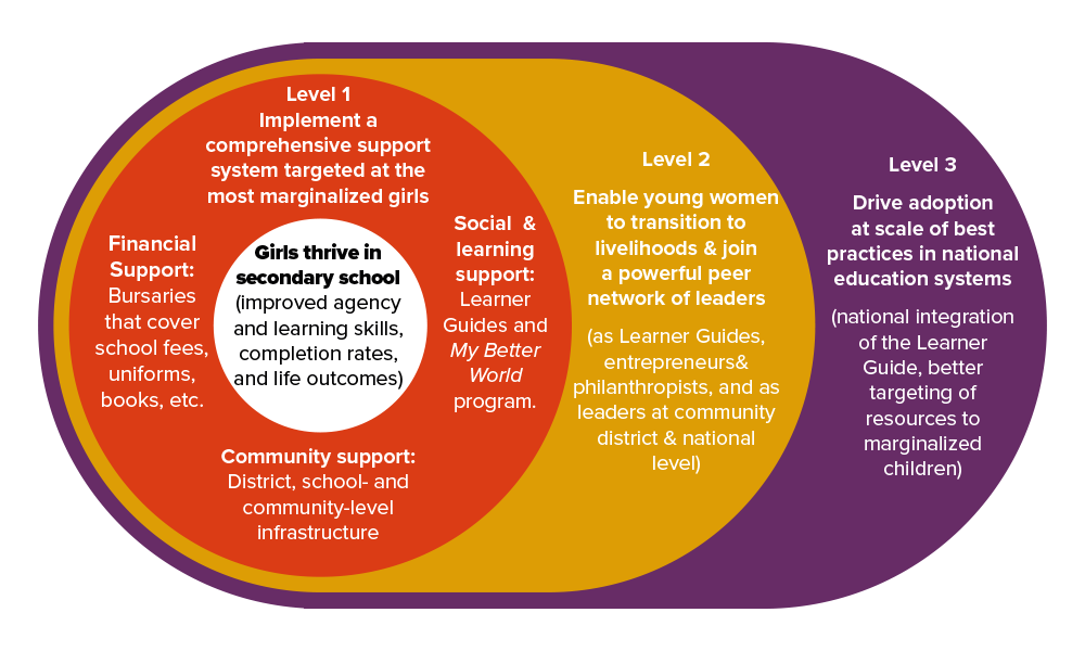 CAMFED's 3-level model focuses on holistic support for marginalized girls in school, transition support for graduates to become independent and influential, and integration of best practices (including youth-led mentorship) into national education systems.